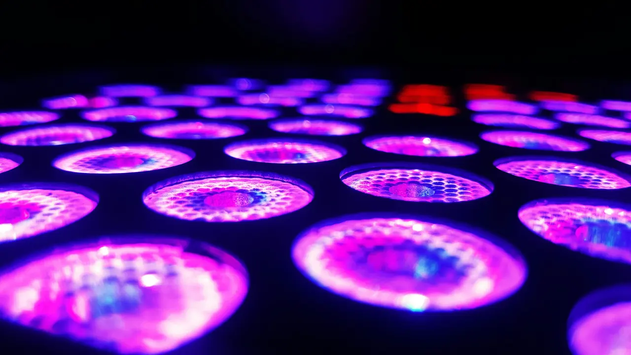 LED-Array mit Vollspektrum-Dioden in Nahaufnahme